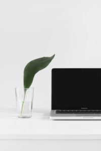 Minimalist desk with Macbook and glass with singular plant leaf as brand inspiration 